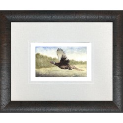 JL- PHEASANT 4